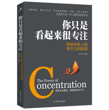 李尚龙：《你只是看起来很专注》（pdf+epub+mobi+azw3）