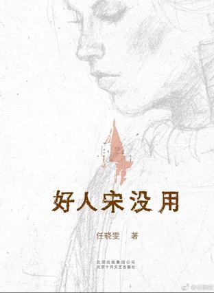 任晓雯：《好人宋没用》（pdf+epub+mobi+azw3）