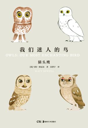 [英]马特·休厄尔：《我们迷人的鸟：猫头鹰》（pdf+epub+mobi+azw3）