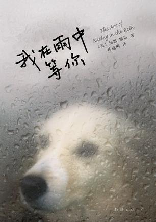 [美] 加思·斯坦：《我在雨中等你》（pdf+epub+mobi+azw3）