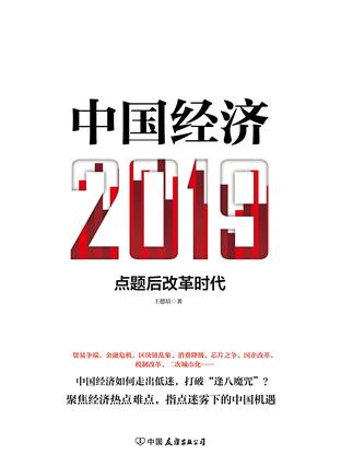 王德培：《中国经济2019》（pdf+epub+mobi+azw3）