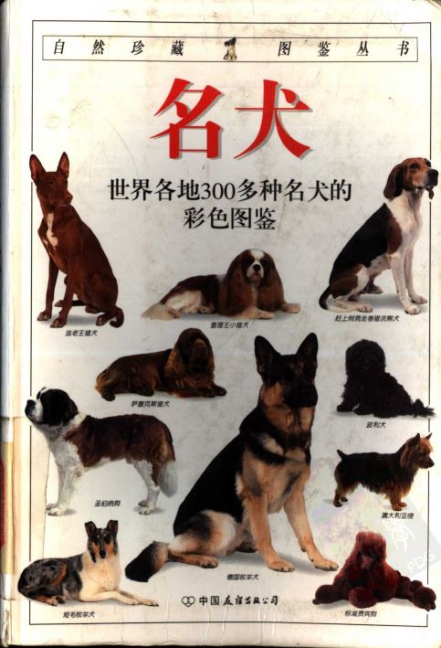 《名犬：全世界300多种名犬的彩色图鉴》扫描版PDF高清版插图