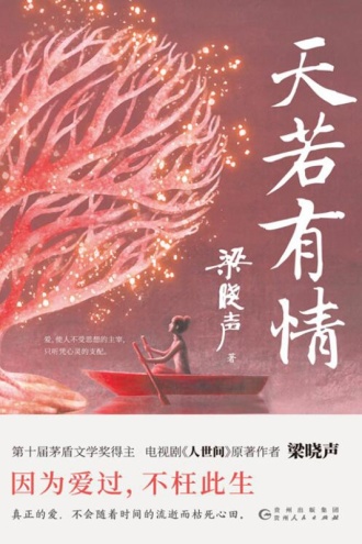 《天若有情》梁晓声/epub+azw3+mobi+pdf插图