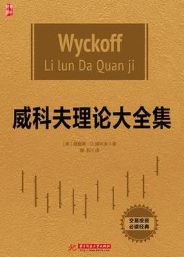 《威科夫理论大全集》威科夫┊包含其四部著作┊epub+mobi+azw3插图