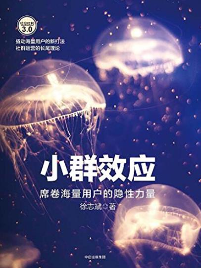 《小群效应》徐志斌/十几人的小群如何成就独角兽/epub+mobi+azw3插图