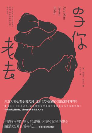 《当你老去》伊塔洛·斯韦沃/关于爱情和孤独一声呜咽/epub+mobi+azw3插图