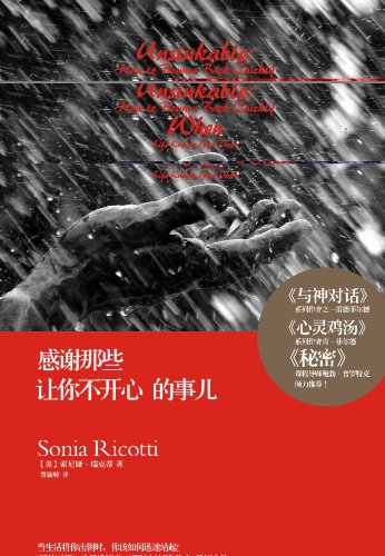 《感谢那些让你不开心的事儿》索尼娅瑞克蒂/成功心理/epub+mobi+azw3插图