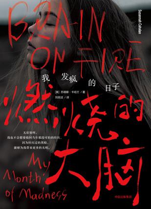《燃烧的大脑》苏珊娜·卡哈兰/熬过黑暗而恐怖的日子/epub+mobi+azw3插图