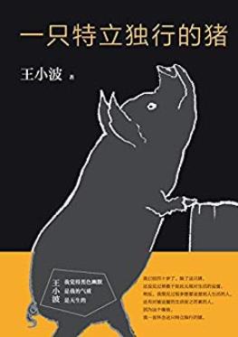 《王小波:一只特立独行的猪》/王小波杂文精选集/epub+mobi+azw3插图