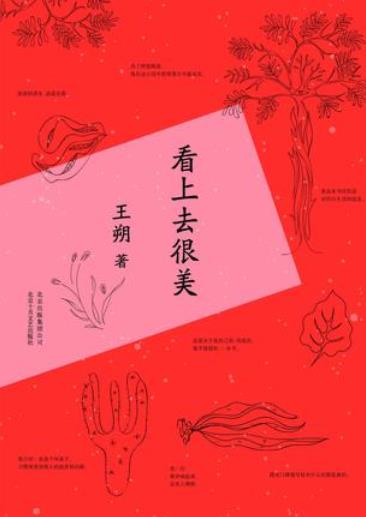 《看上去很美》王朔/描写了一个社会化自我的成长/epub+mobi+azw3插图