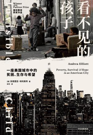 《看不见的孩子》安德里亚·埃利奥特/epub+azw3+mobi+pdf插图