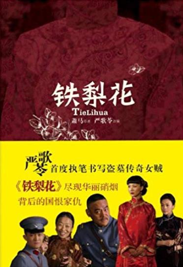 《铁梨花》严歌苓/黄土坡上迎来一顶鲜红的花轿/epub+mobi+azw3插图