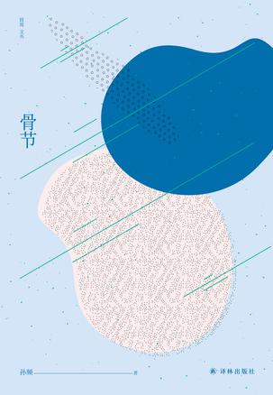 《骨节》孙频/决意要在女儿身上注入贵族气的单身母亲/epub+mobi+azw3插图