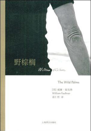 威廉·福克纳《野棕榈》洪水中犯人救助受困者的故事epub+mobi插图