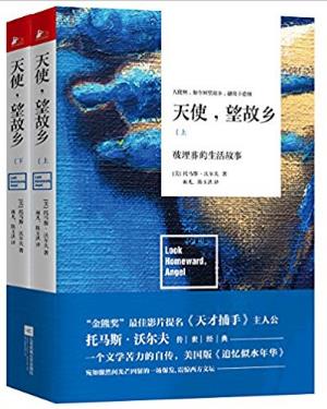 托马斯·沃尔夫《天使,望故乡》epub+mobi+azw3版电子书合集插图