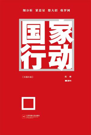 程琳：《国家行动（精制精排）》（pdf+epub+mobi+azw3）