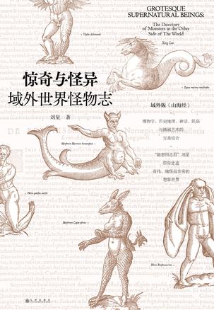 《惊奇与怪异》刘星/一些东西方共同存在的观念、思维/epub+mobi+azw3插图