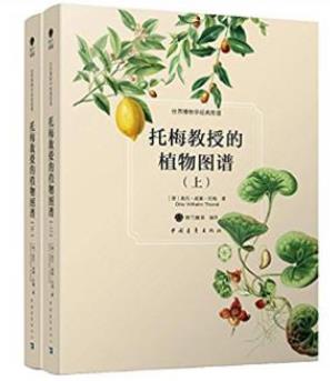 《托梅教授的植物图谱》共2册世界博物学经典图谱epub+azw3插图