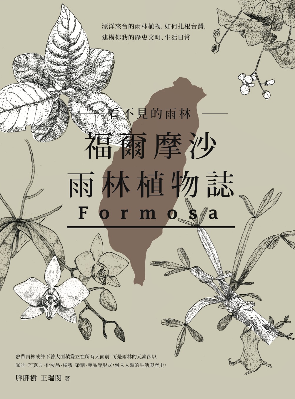 看不見的雨林─福爾摩沙雨林植物誌 